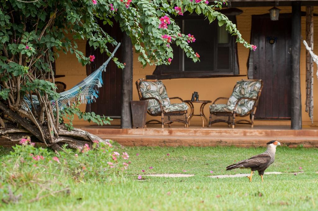 Pousada Araras Pantanal Eco Lodge Carvoalzinho Exterior foto