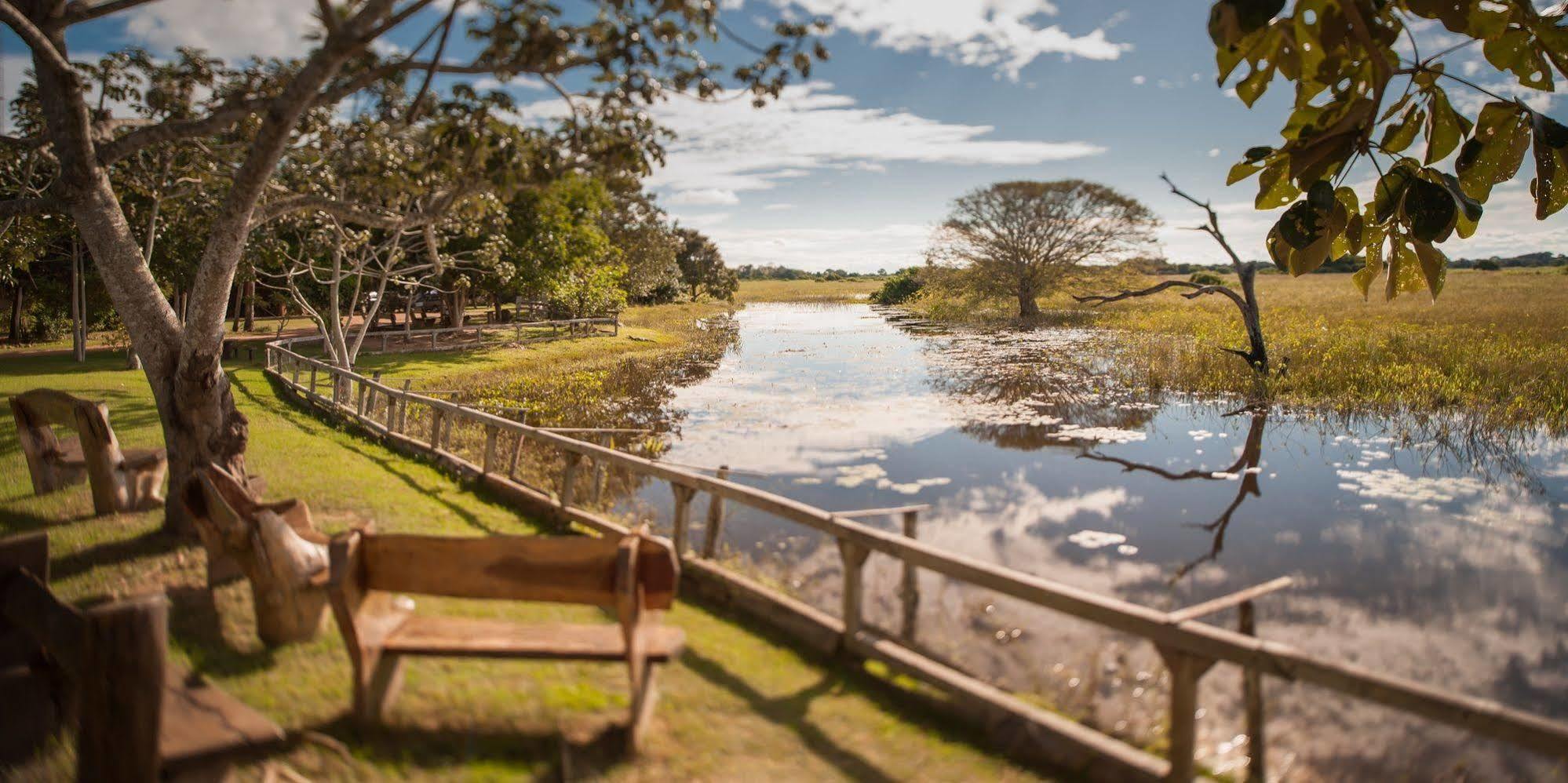 Pousada Araras Pantanal Eco Lodge Carvoalzinho Exterior foto